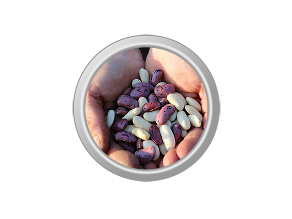 категория варива